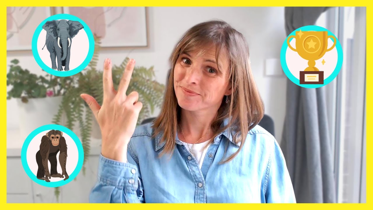 Descubre los elementos imprescindibles de una casa