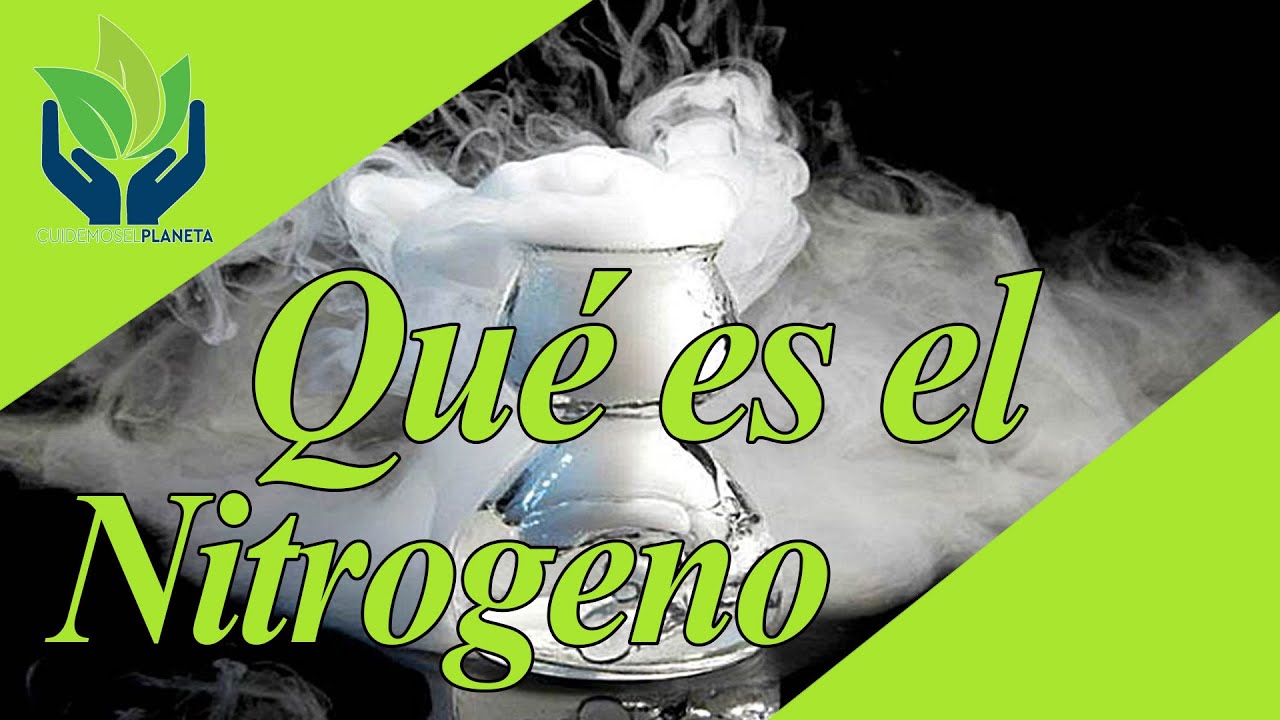 Descubre por qué es crucial el nitrógeno en nuestro día a día