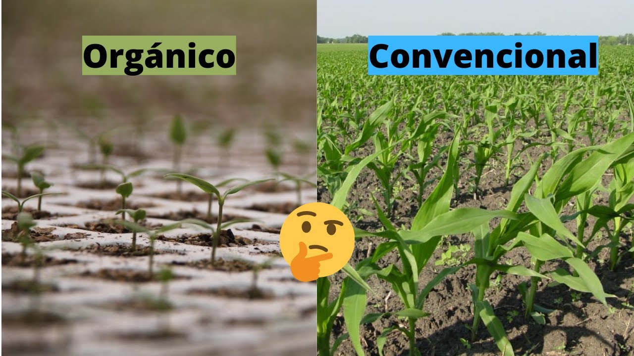 Diferencias entre agricultura tradicional y orgánica