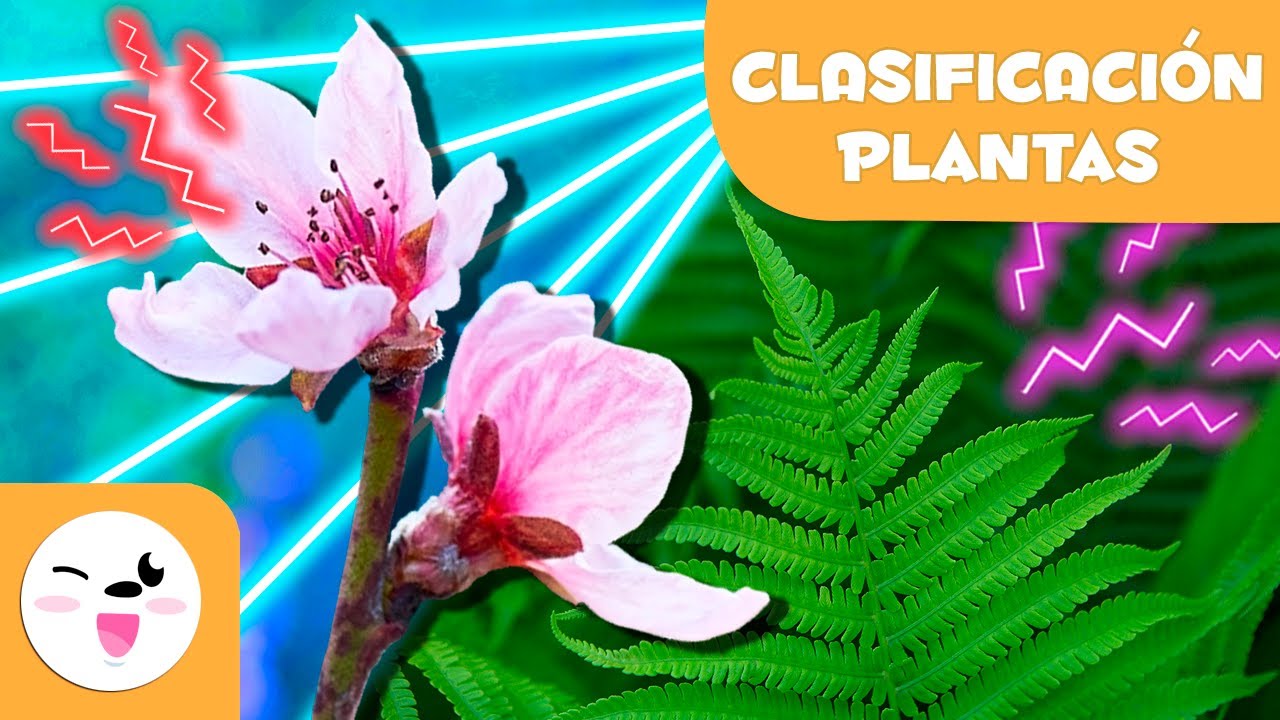 Diferencias entre plantas criptogamas y fanerógamas explicadas