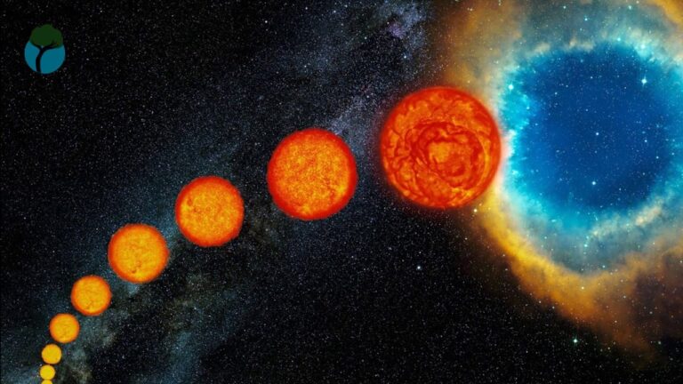 El nacimiento de las estrellas explicado para niños - Mi Tienduca