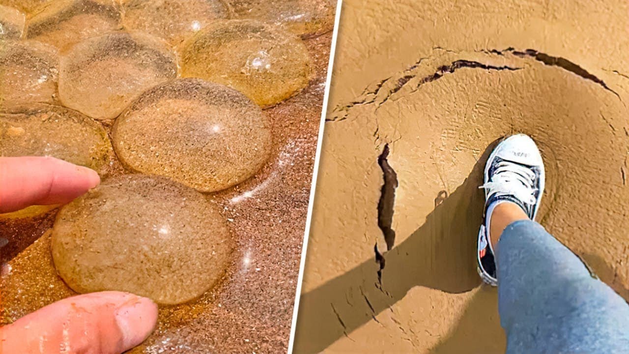 El objeto más gracioso que verás