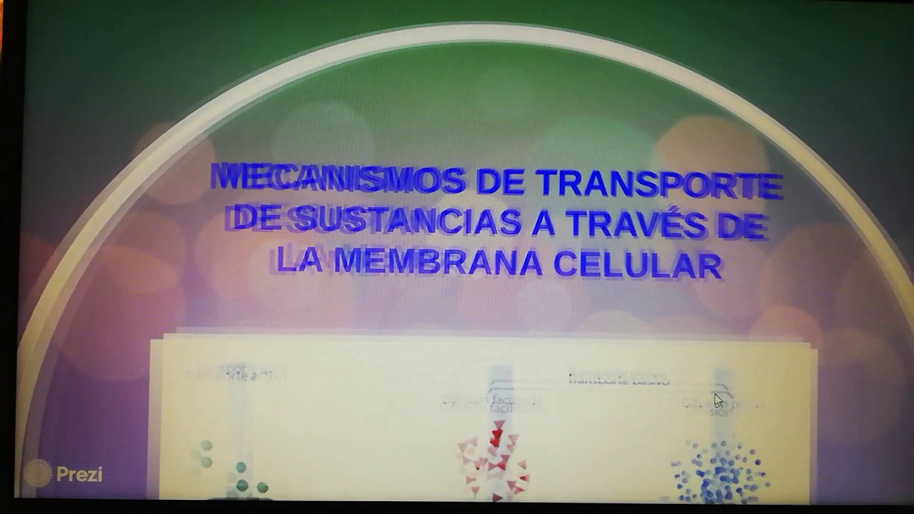El transporte de sustancias en los seres vivos
