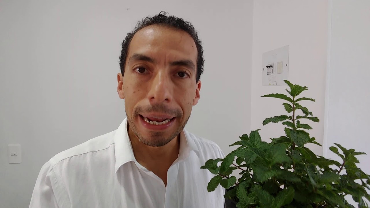 Enfermedades comunes de la hierbabuena y plagas
