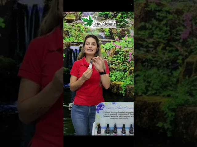 Estrella de Belén gotas: ¿para qué sirve?