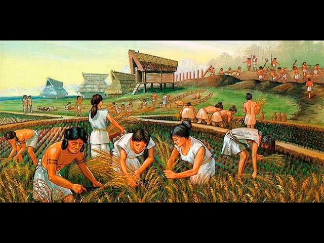 Etapas de la Agricultura en Venezuela: Un Recorrido Histórico