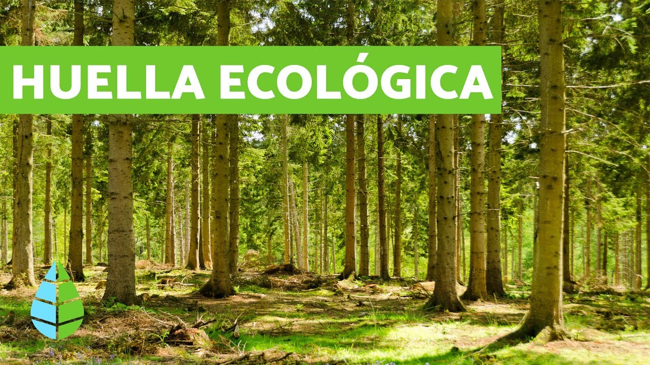 Factores para calcular la huella ecológica