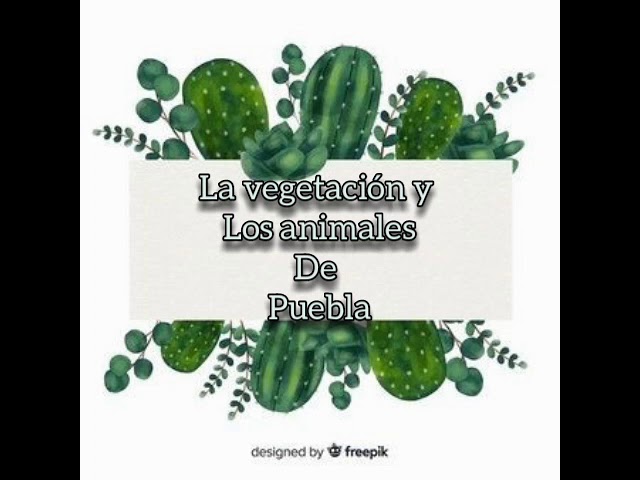 Fauna en Puebla: ¿qué animales hay?