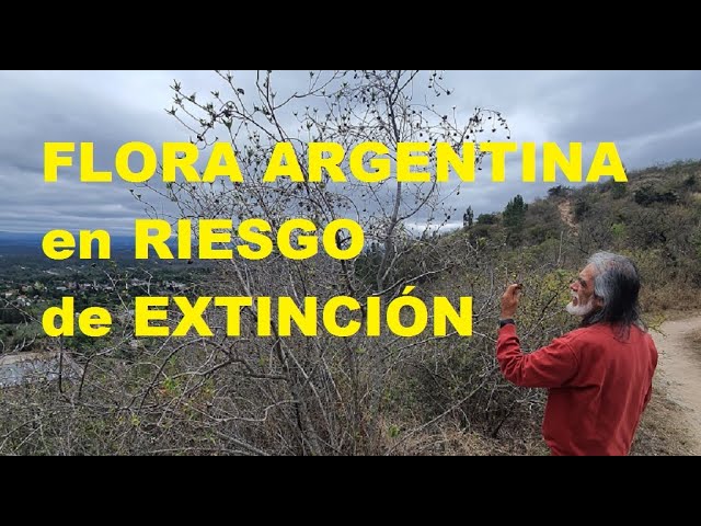 Flora en peligro de extinción en Argentina