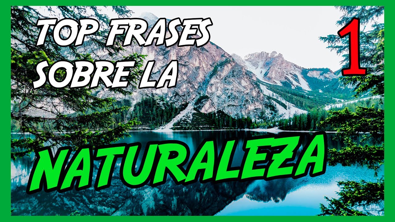 Frases sobre Cabañas en el Bosque