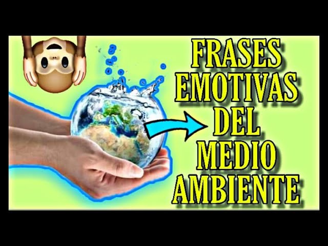 Frases sobre la importancia de cuidar lo que tenemos