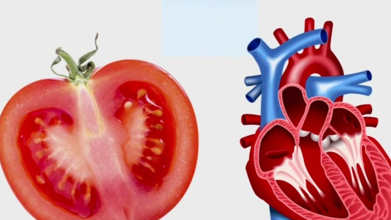 Frutas y verduras que parecen órganos: ¿cuáles son?