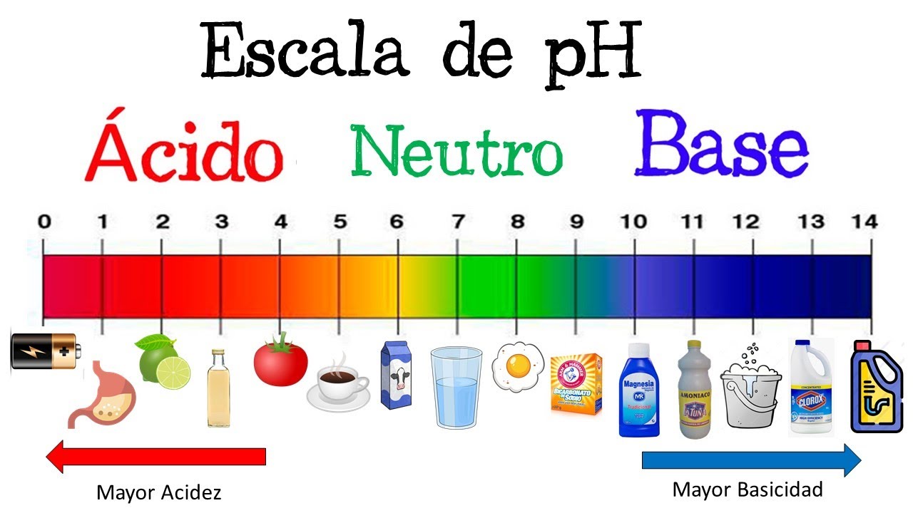 Guía de laboratorio: Medición del pH