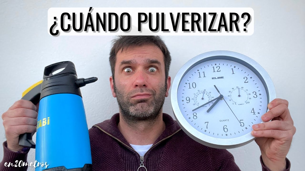 Guía para aplicar fungicida a tus plantas