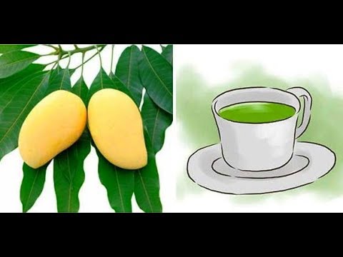 Hojas de mango para un litro de agua: ¿cuántas?