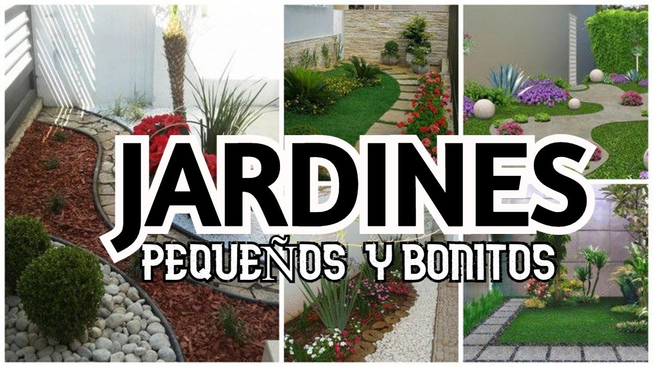 Ideas para jardines pequeños y minimalistas