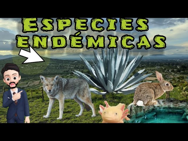 Importancia de las especies endémicas en México
