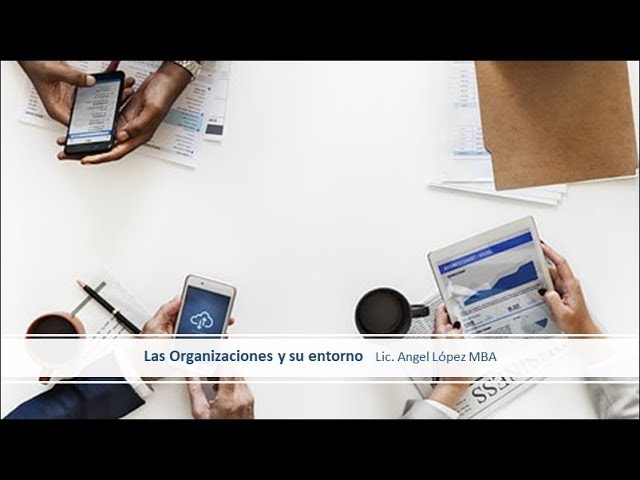 Interacción entre la organización y su entorno