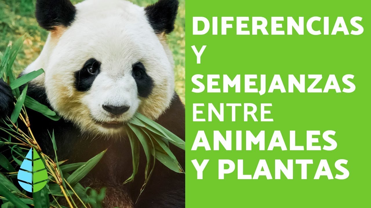 Investigación sobre plantas y animales en la naturaleza