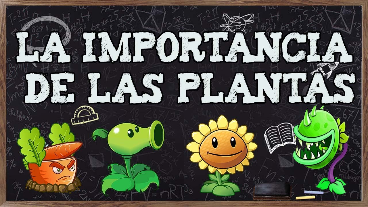 La importancia de cuidar las plantas