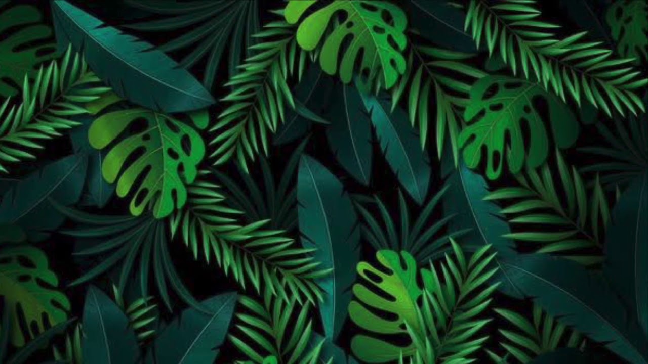 La importancia de las plantas para niños