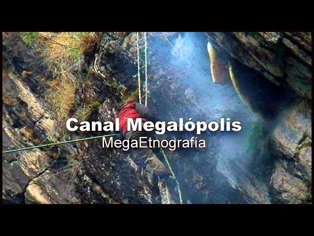 La miel: el dulce tesoro de las colmenas