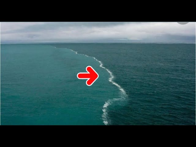 La no mezcla entre el Atlántico y el Pacífico: ¿Por qué sucede?