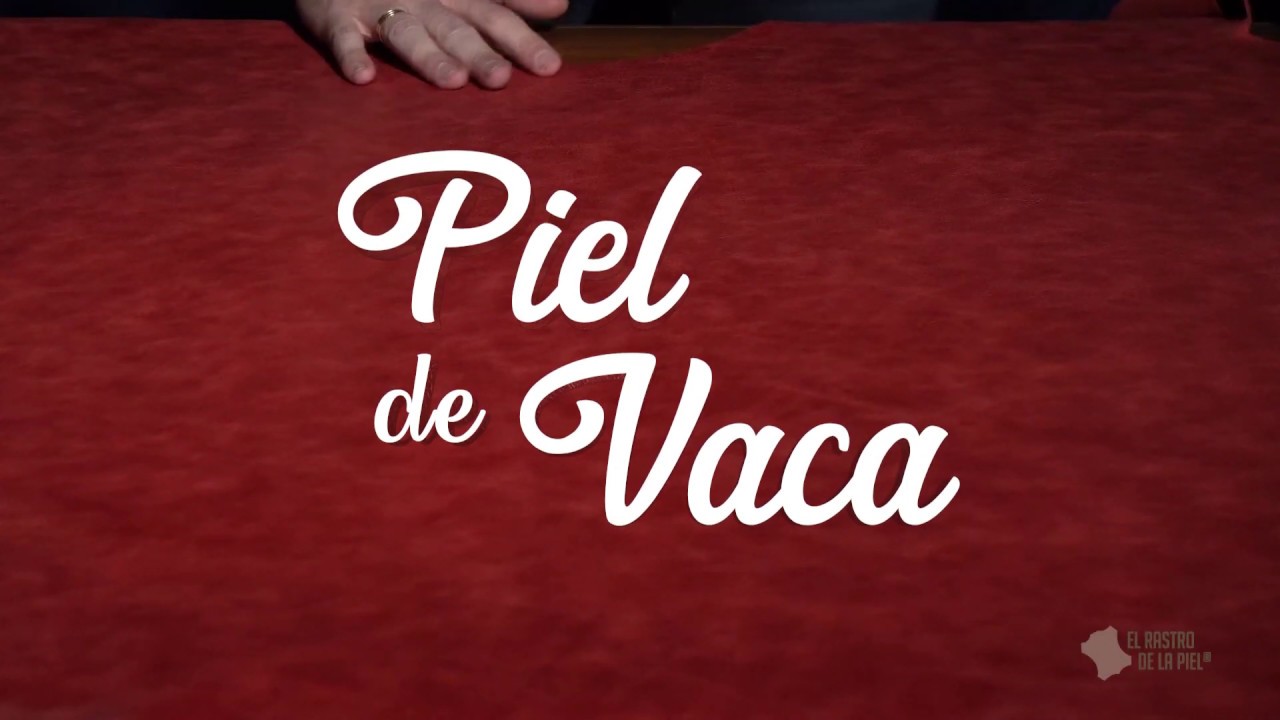 La piel de las vacas: ¿qué la diferencia?