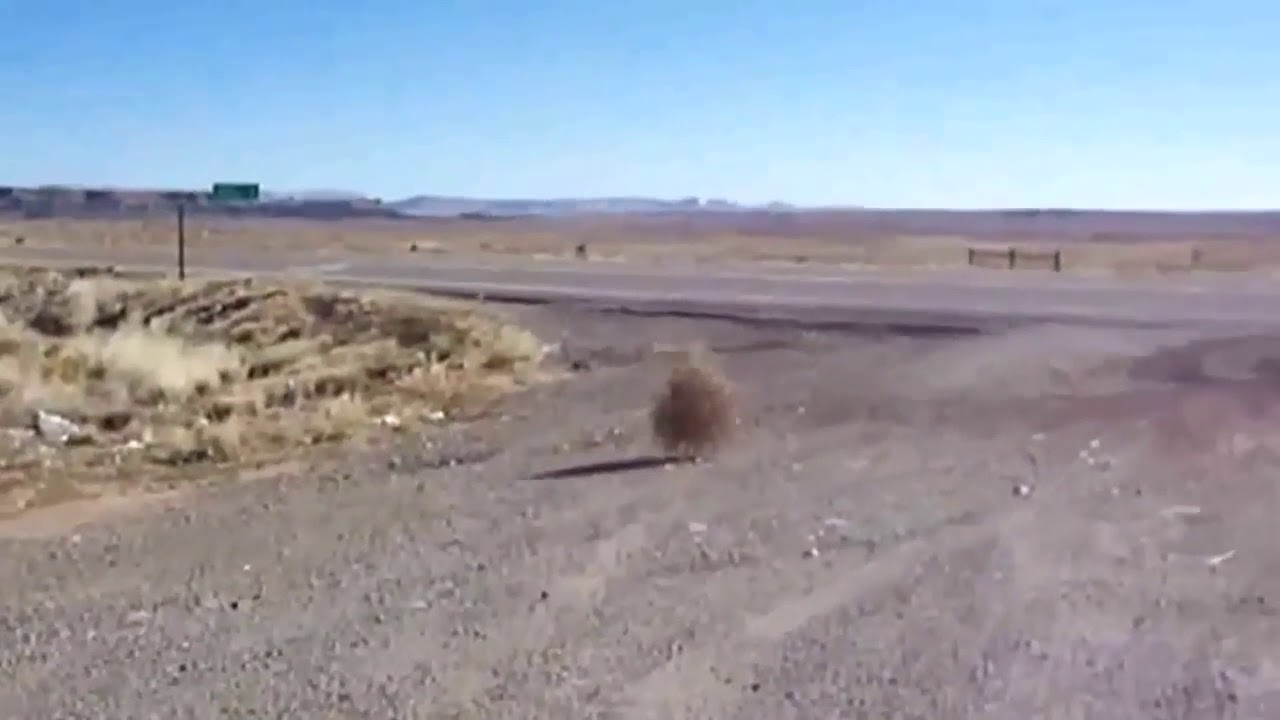 Las misteriosas bolas del desierto