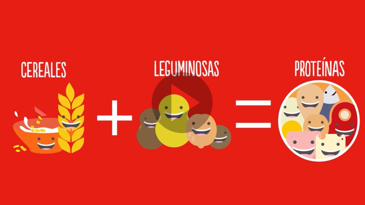 Leguminosas vs alimentos de origen animal