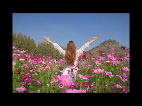 Los campos de flores más bellos del mundo