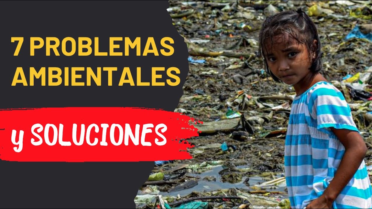 Los principales problemas ambientales en Veracruz