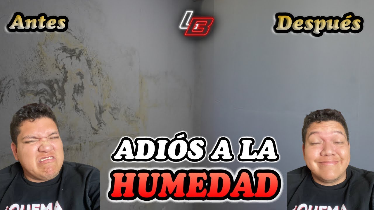 Materiales para prevenir la humedad en paredes
