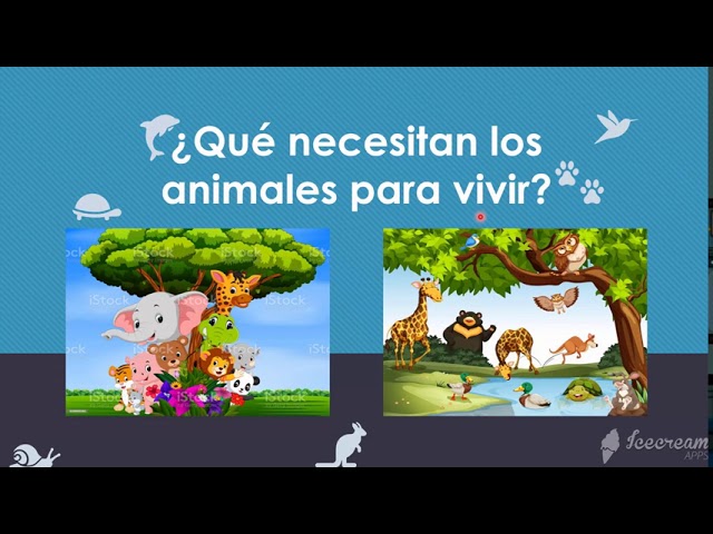 Necesidades básicas de los animales para su supervivencia