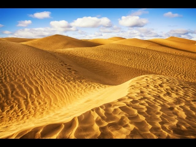 Niveles de aridez en el desierto del Sáhara