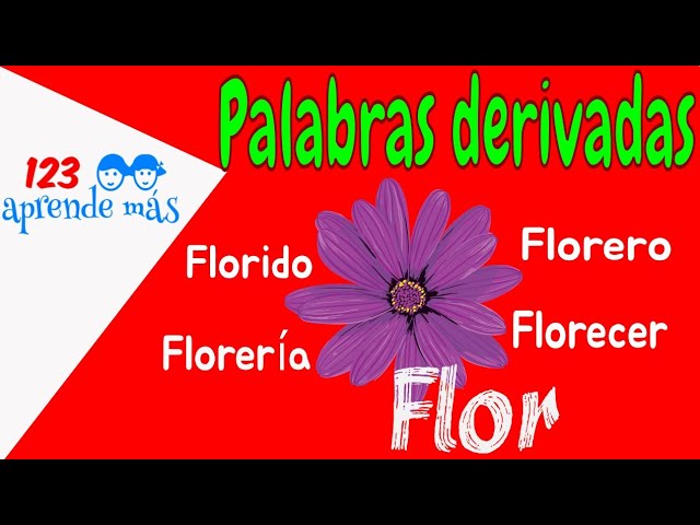 Palabras derivadas de caja: ¡descúbrelas!