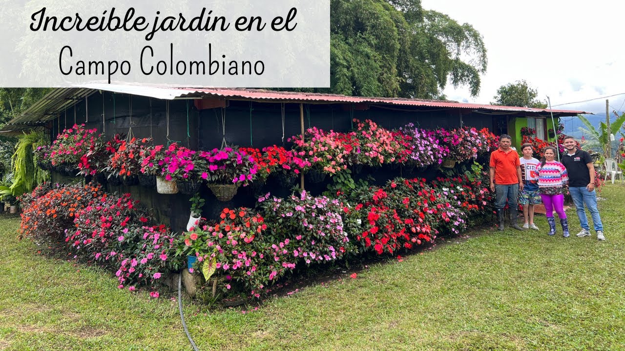Plantas comunes en jardines colombianos