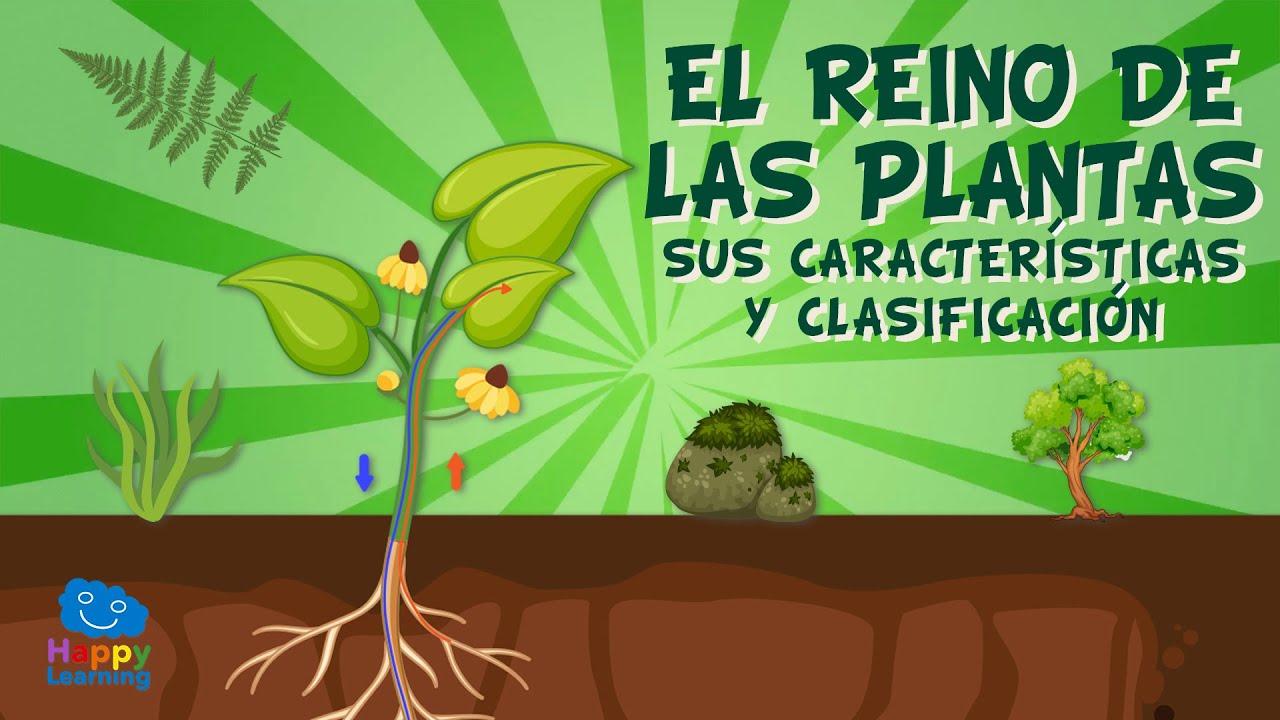 Plantas y su entorno: Una relación vital
