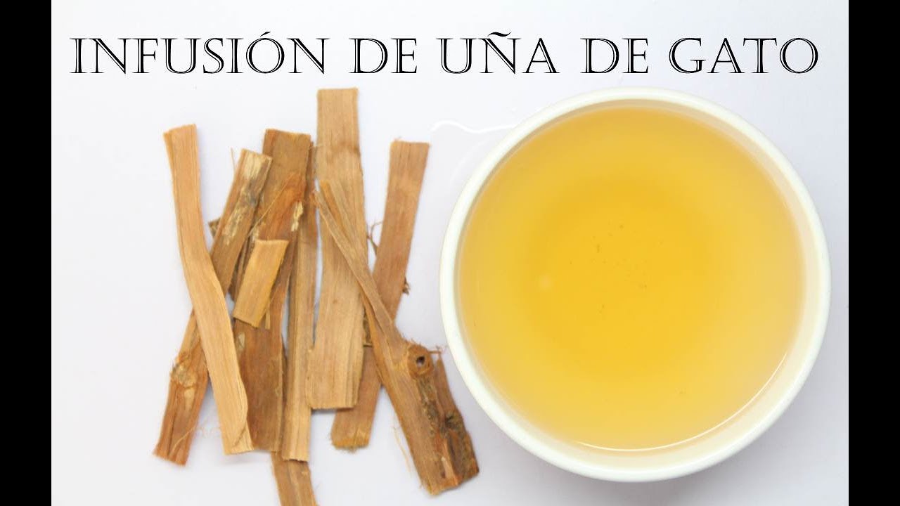 Preparación del té de uña de gato: paso a paso