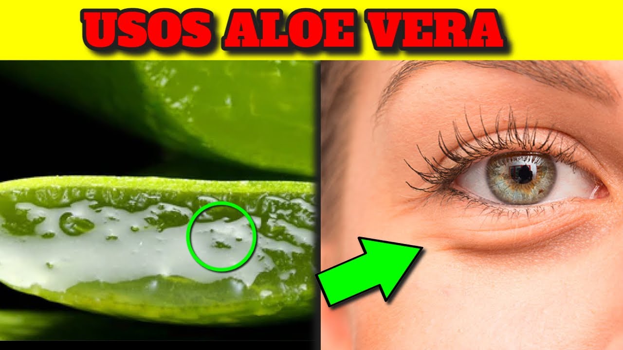 Propiedades del gel de aloe vera puro
