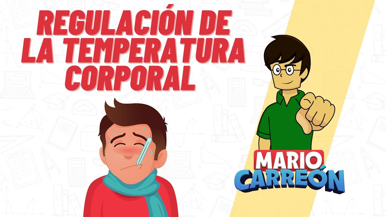 Regulación de la temperatura en mamíferos