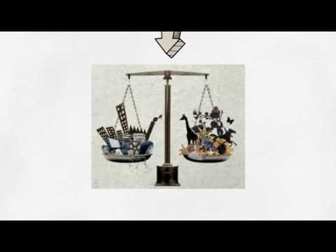 Relación sociedad-naturaleza