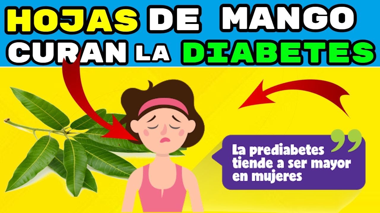 Remedio casero para la diabetes con hojas de mango: ¡descúbrelo aquí!