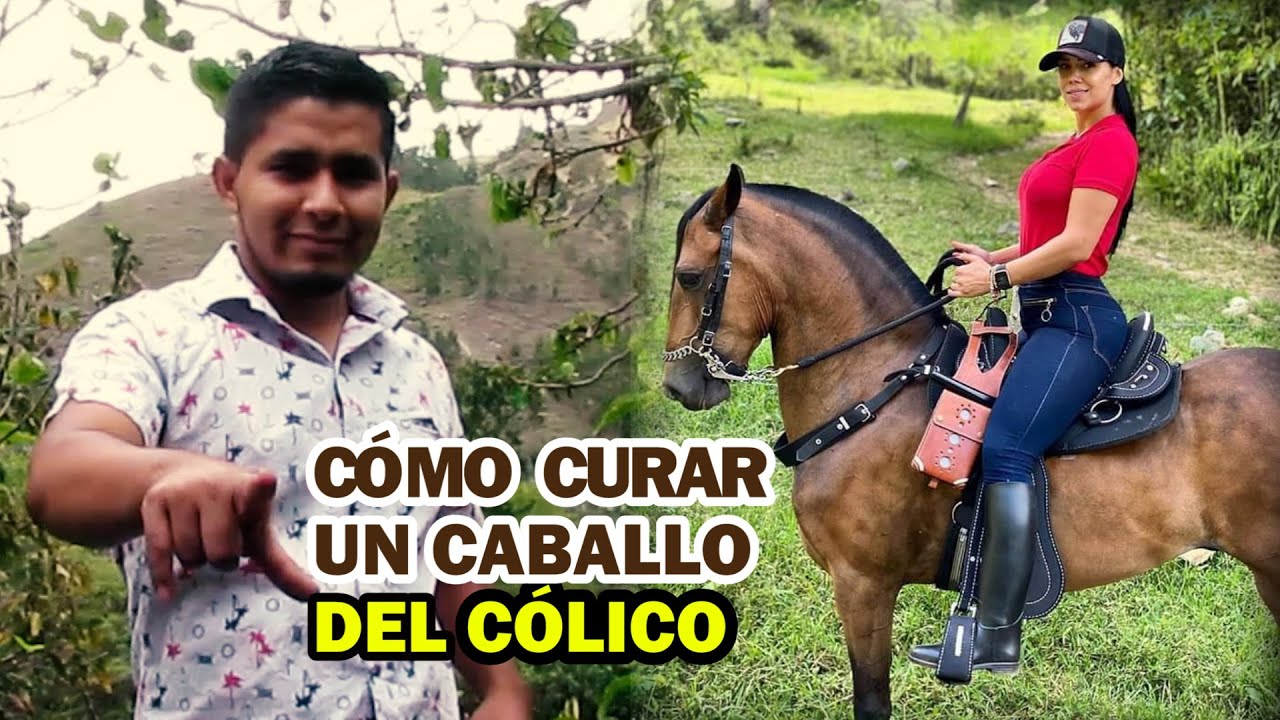 Remedios caseros para cólicos en caballos