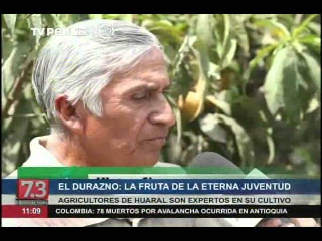 Semilla de durazno: beneficios y usos