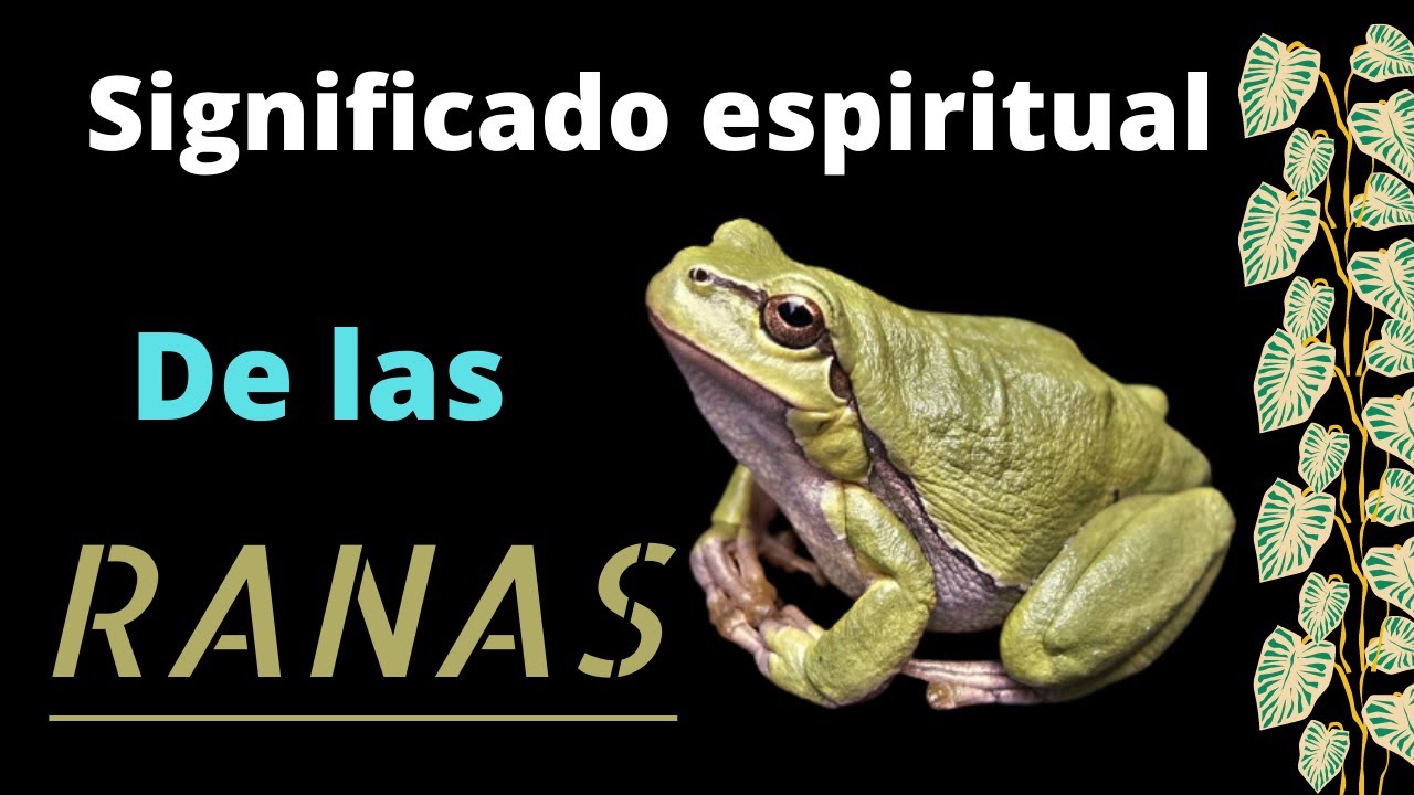 Significado cultural de ser sapo en Colombia