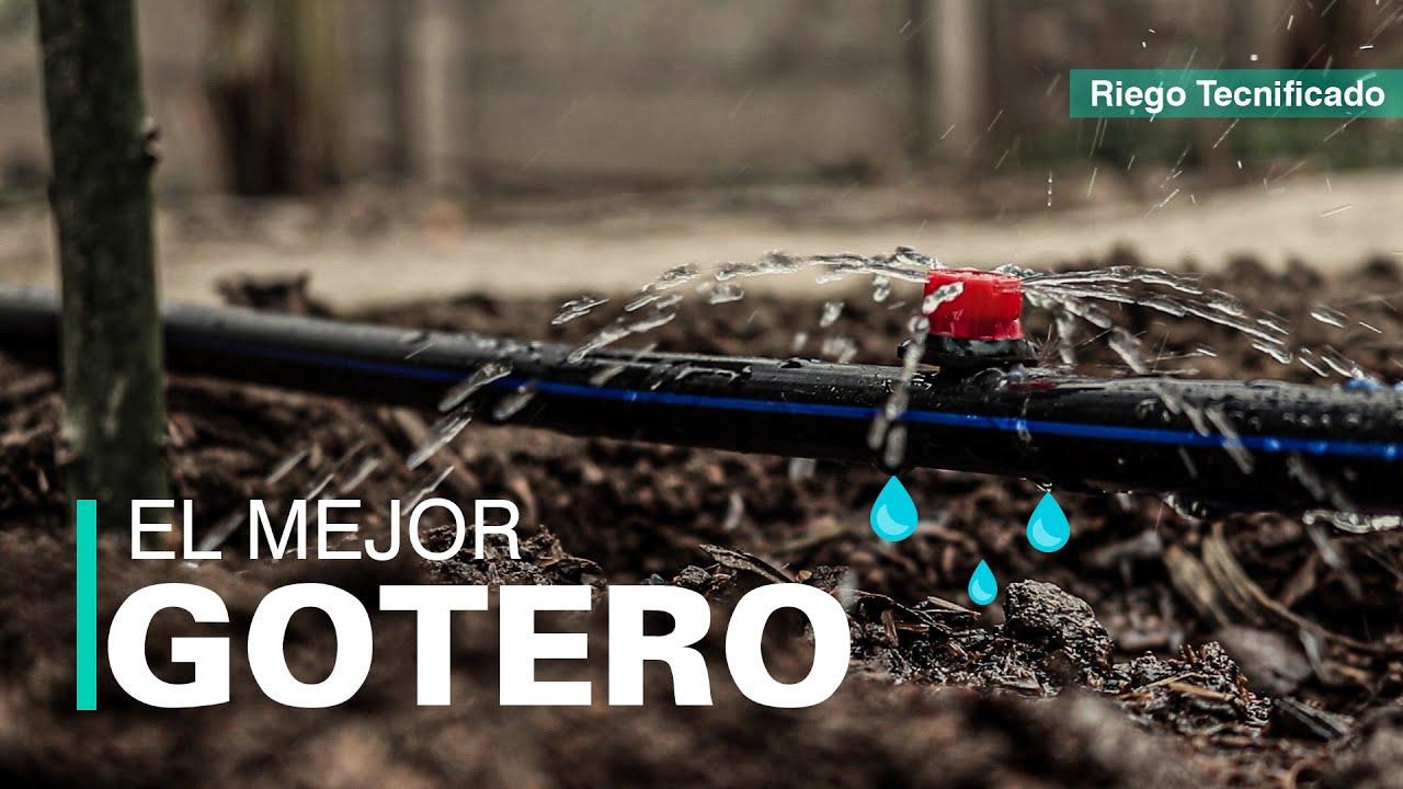Sistema de riego por goteo: ¿cómo funciona?