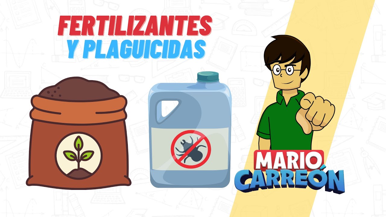 Ventajas y desventajas de los fertilizantes