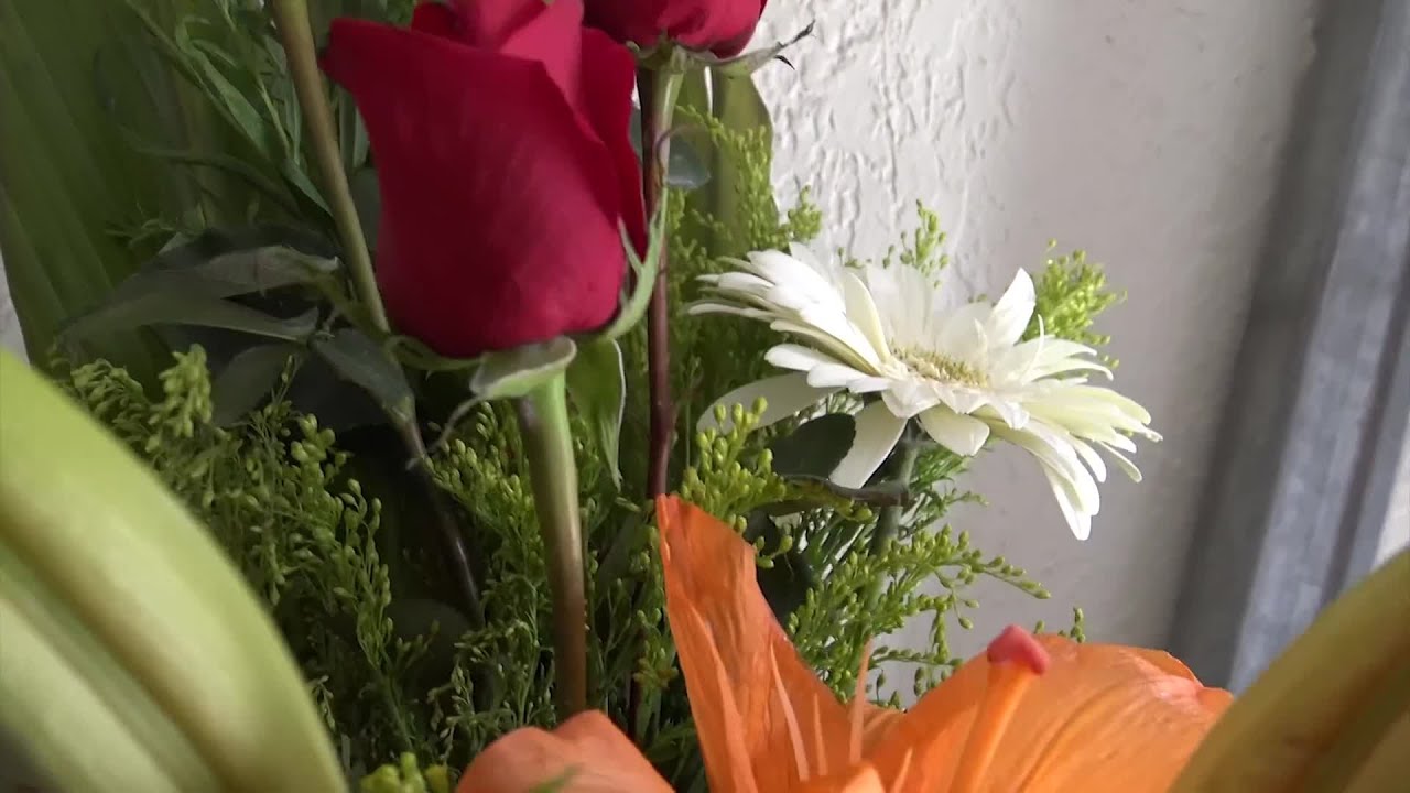¡Cruzar flores hasta en Estados Unidos!