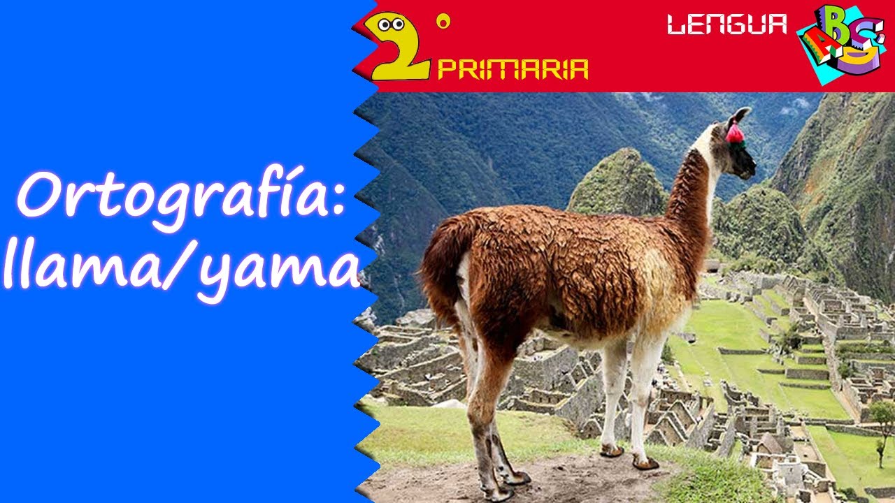 ¿Cómo se escribe: llama o yama?
